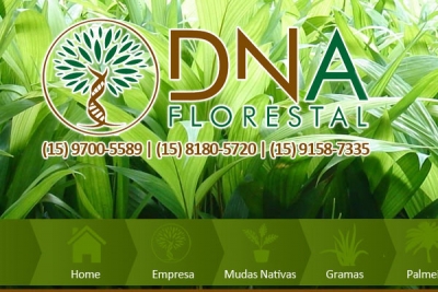 DNA Florestal